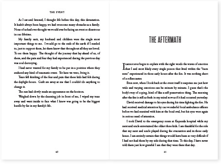Typesetting book novel
